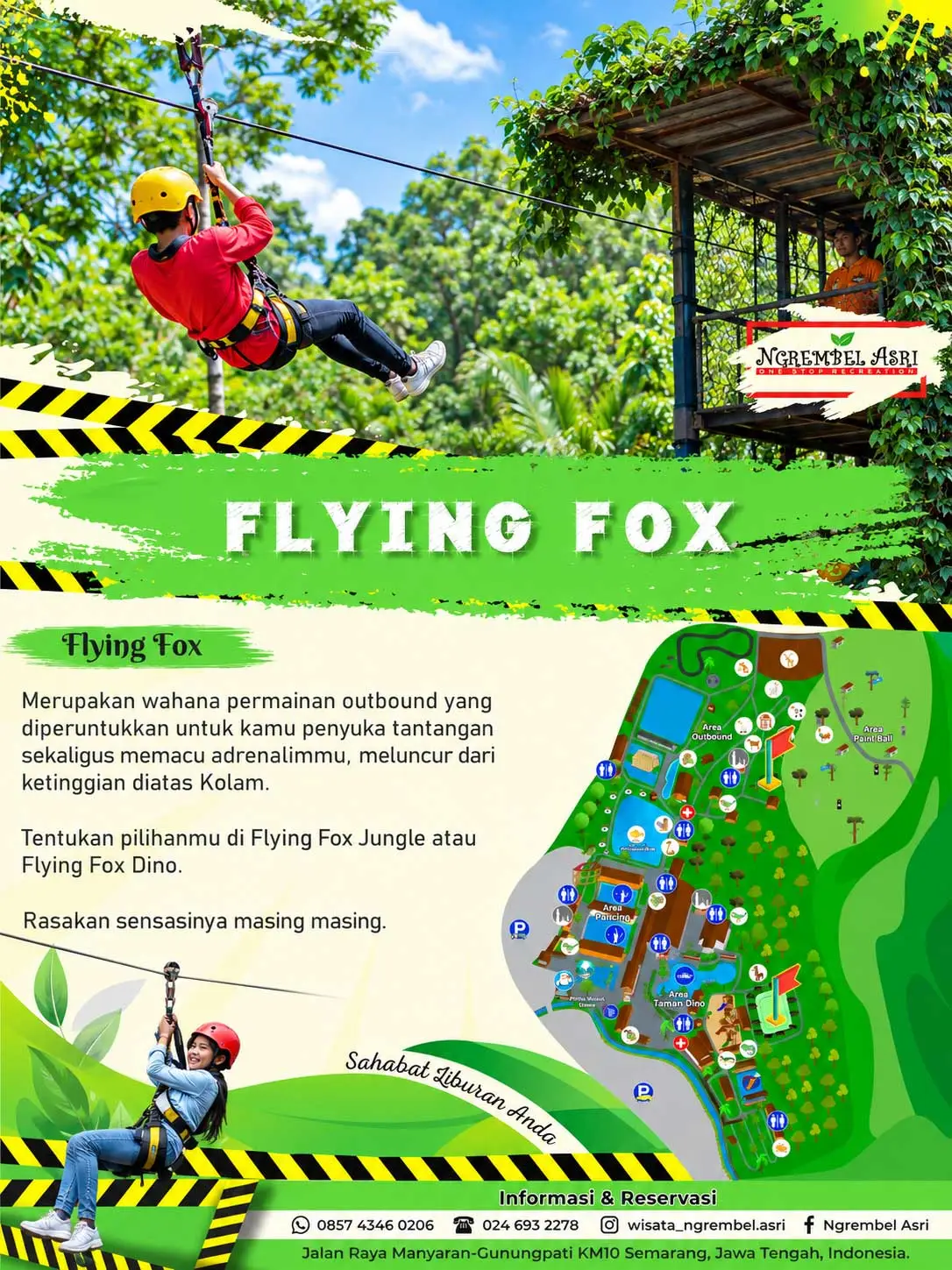 Flying Fox Dino